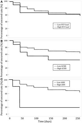 Relationship between Feline calicivirus Load, Oral Lesions, and Outcome in Feline Chronic Gingivostomatitis (Caudal Stomatitis): Retrospective Study in 104 Cats